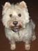 051608_Cluny01-copy