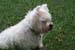 090408Cluny_2-copy