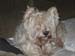 112808_01-copy