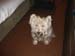 112808_02-copy