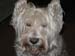 112808_03-copy